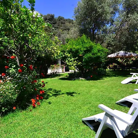 בית אירוח Casa Nel איסקיה